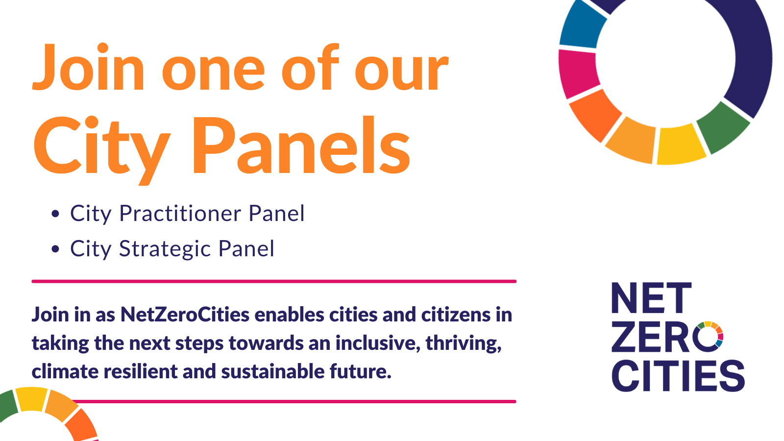 NZC is launching two City Panels ! Apply before 4 February 2022