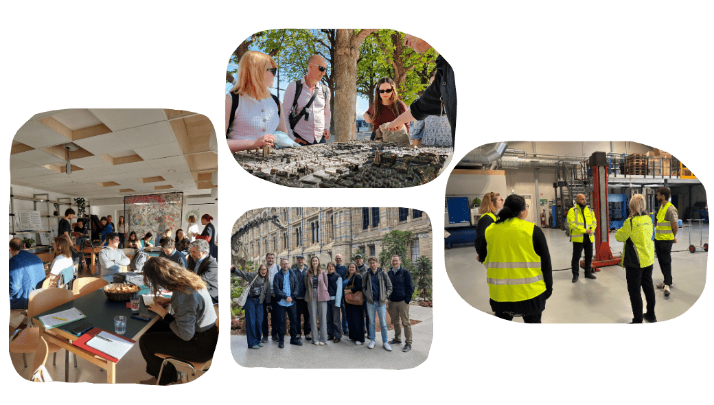 Untitled design (37)