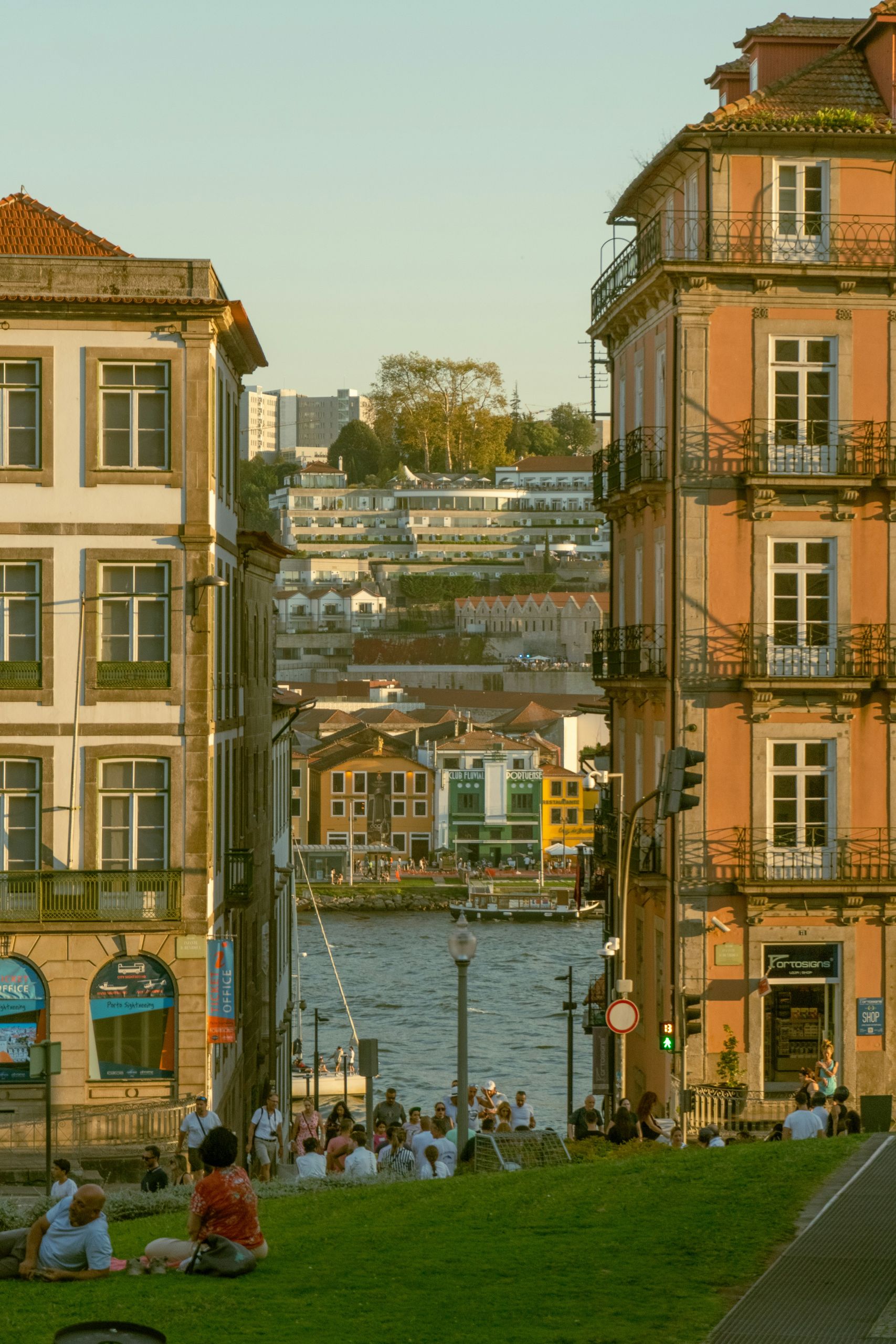 rafael-machado-8ie40plgM6M-unsplash